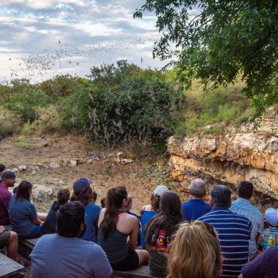 Eckhert James River bat-viewing destination.